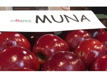 Muna na targach MTAS / FruitPRO 2017